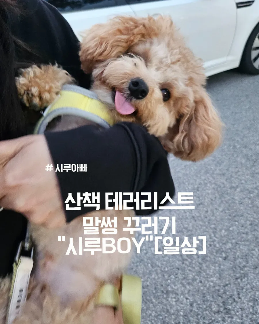 고집 이미지