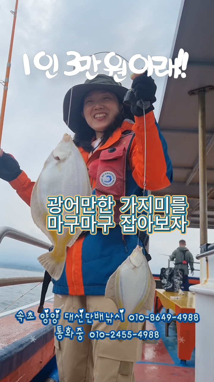 다잡아낚시 이미지