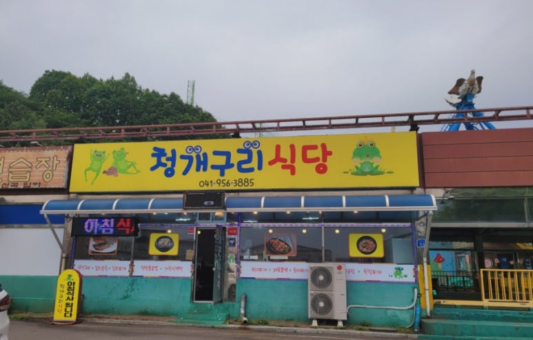 청개구리식당 이미지