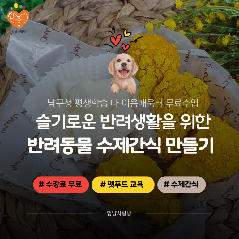 멍냥사랑방 이미지