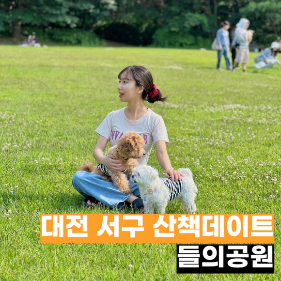 좋은들 이미지