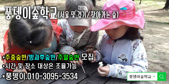 체험을더하다 이미지