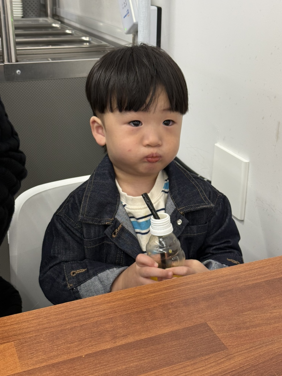 돗집 이미지