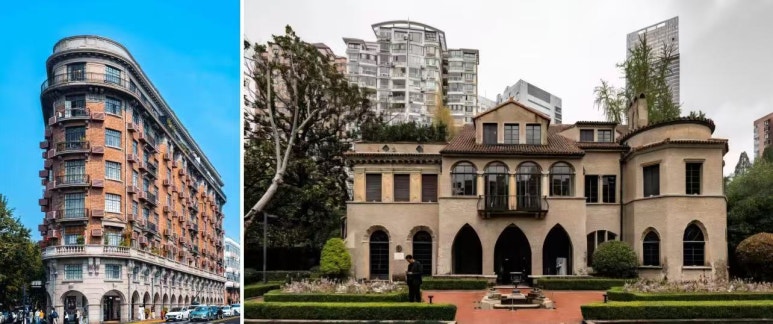 천과나무 이미지