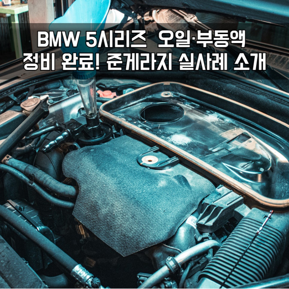 준게라지 이미지