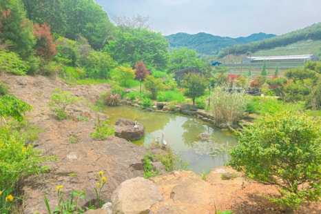 비원 이미지