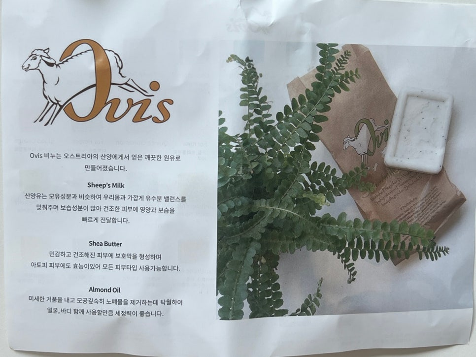 마벨미뇽 이미지