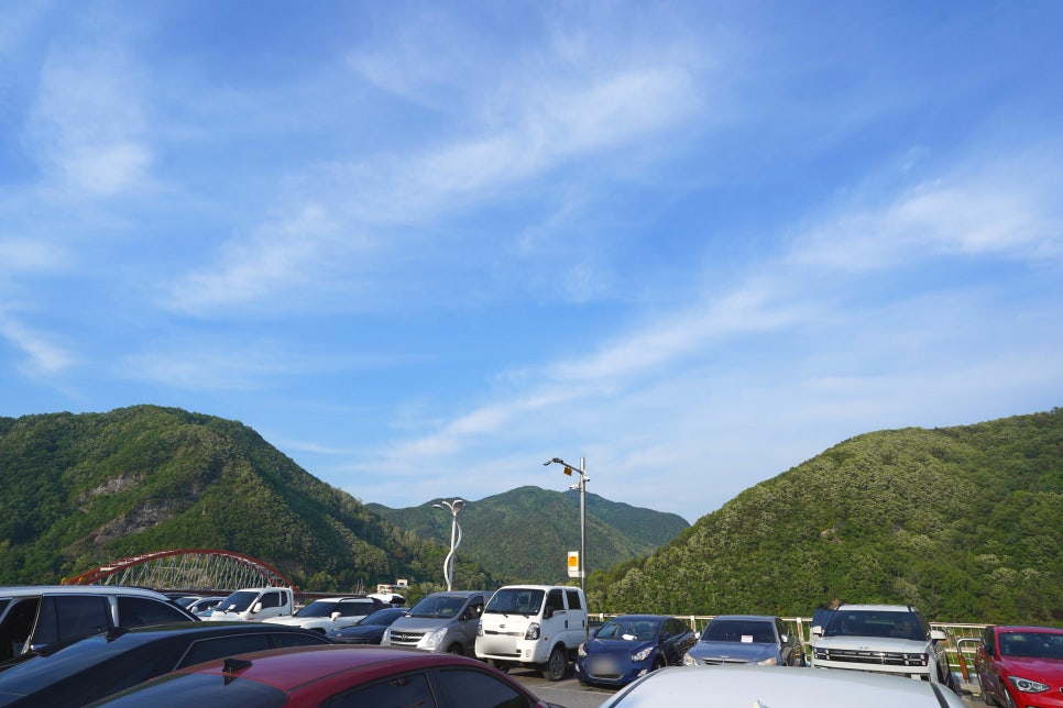 불끈낙지&보쌈 이미지