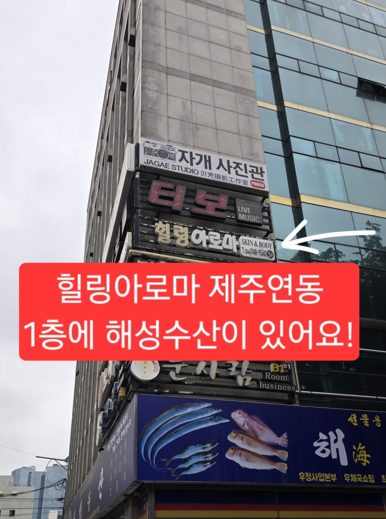 샵힐링 이미지
