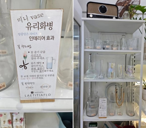 라이티티아플로 이미지