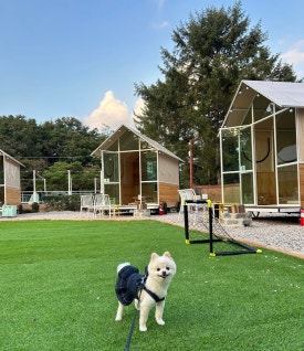 피카푸피크닉앤글램핑서울와이엠씨에이도 이미지