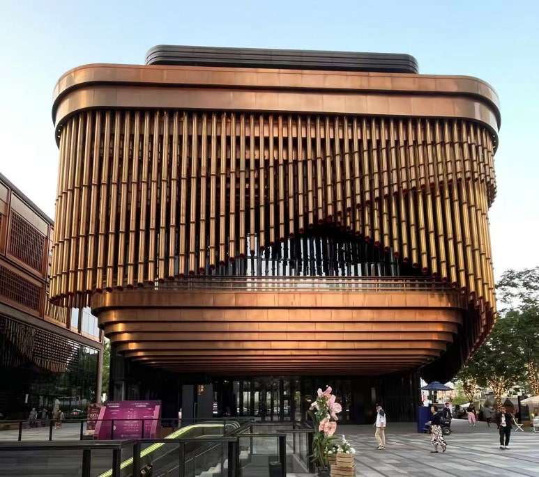 천과나무 이미지