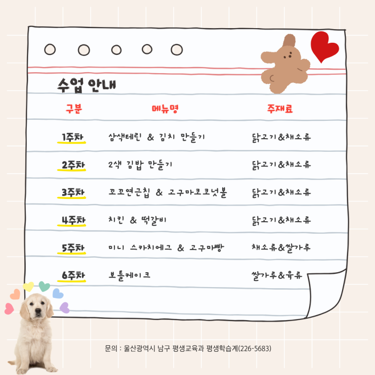 멍냥사랑방 이미지