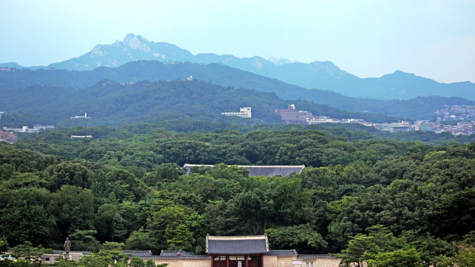 화신상회 이미지