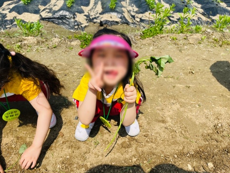 산내들유치원 이미지