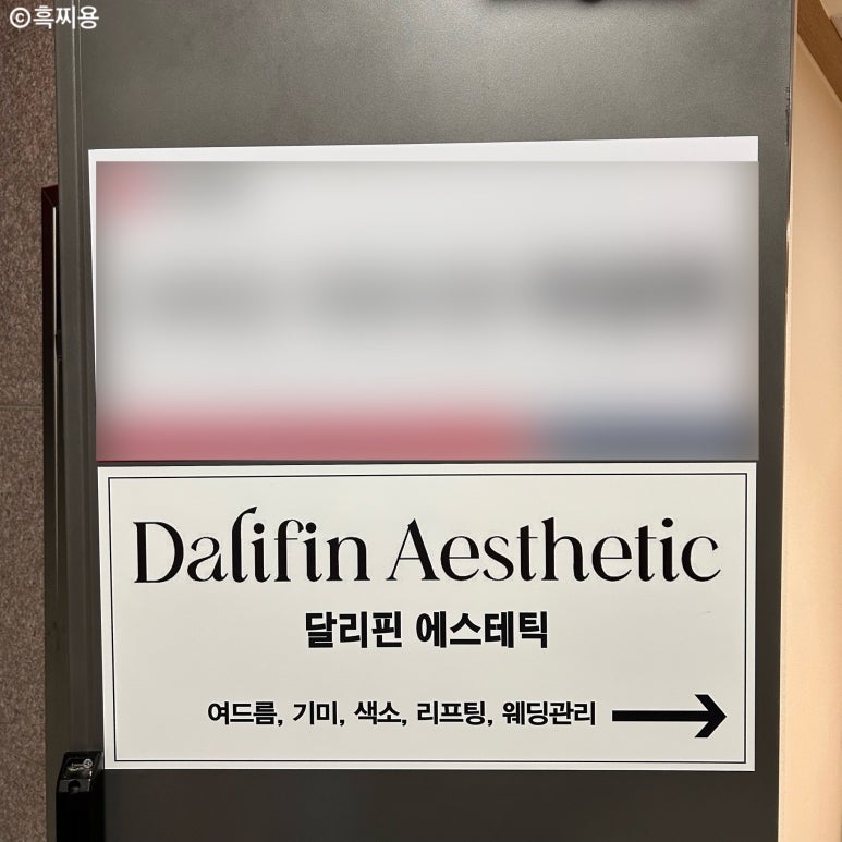 달리핀 에스테틱 이미지