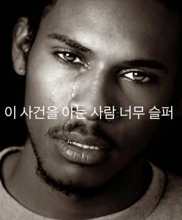 다봐 이미지