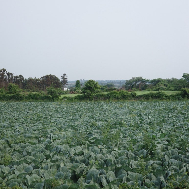 어도초등학교 이미지