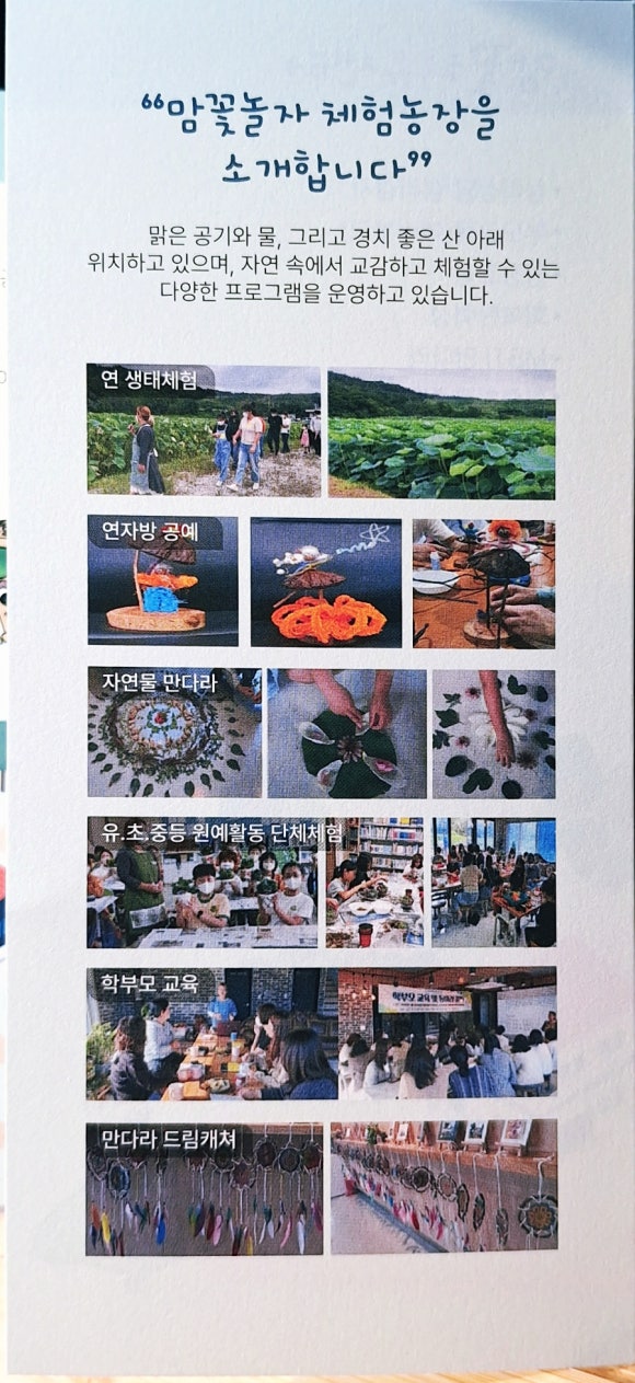맘꽃 이미지