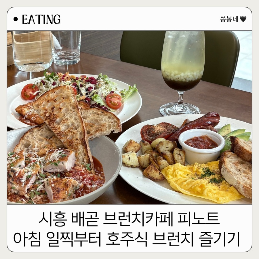 피노트 이미지