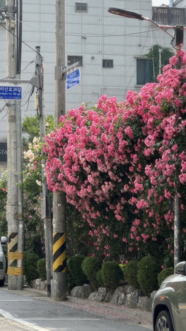 지에스25 연남공원점 이미지