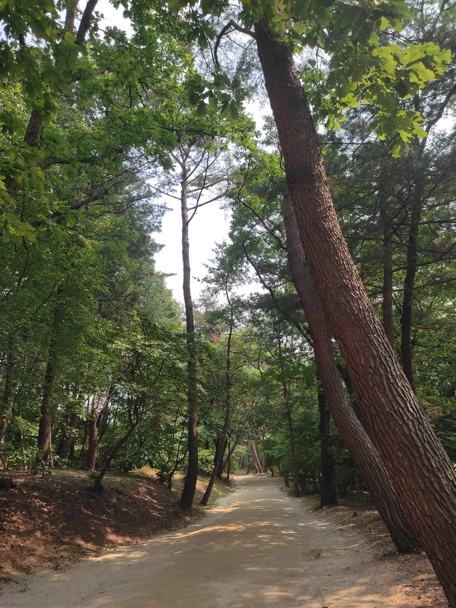 동구릉역 이미지
