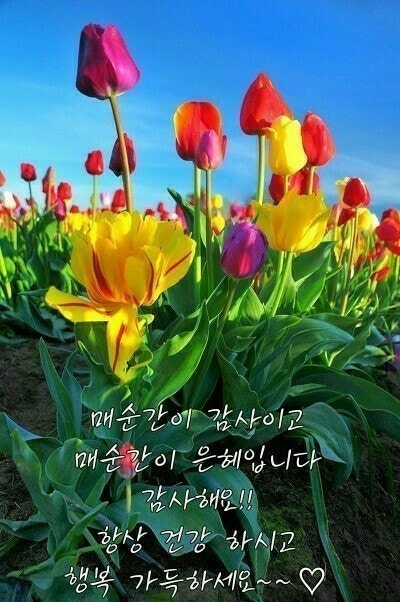 (주)좋은아침 이미지