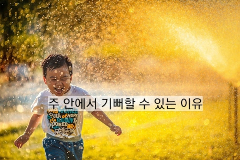 (주)안 이미지