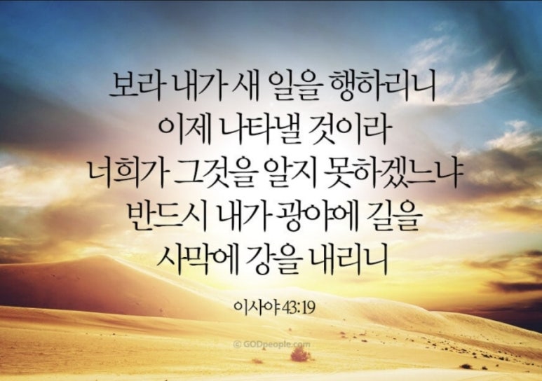 쁄라 이미지