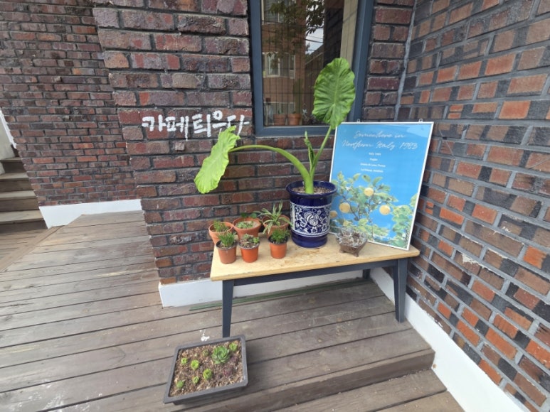 카페틔우다 이미지