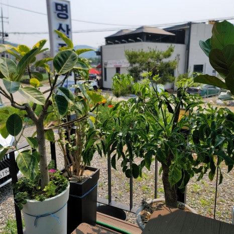 명산숯불구이 이미지