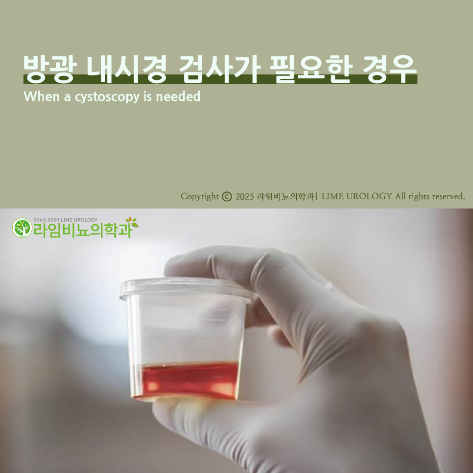 라임비뇨기과의원 이미지