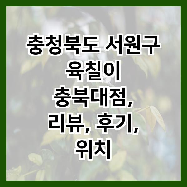 육칠이 충북대점 이미지