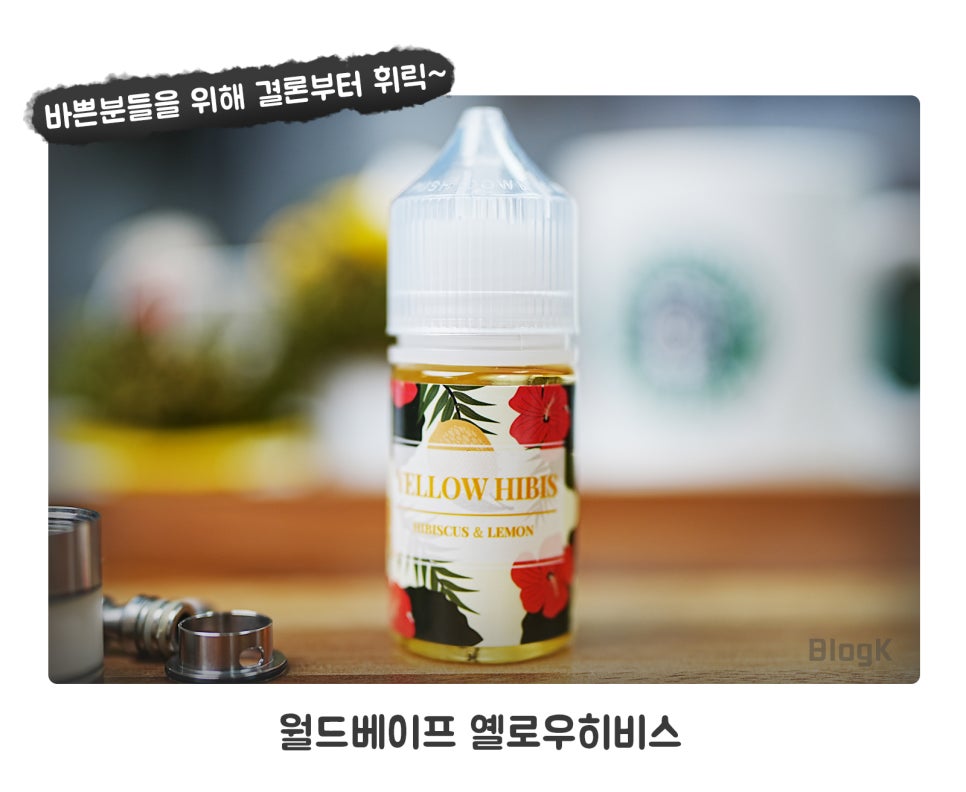 월드베이프 이미지