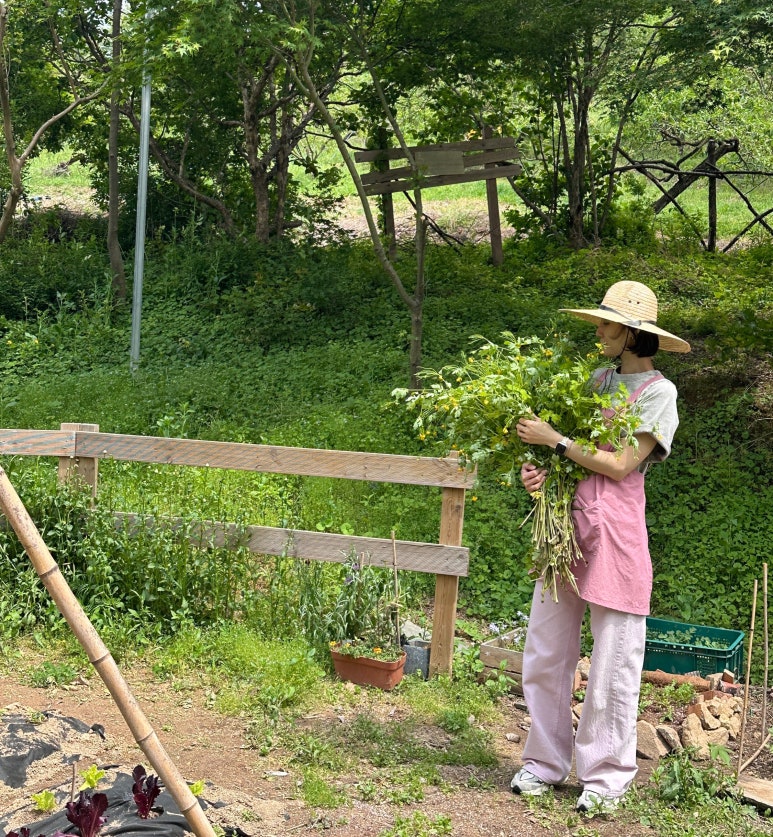 로우스테이트 이미지