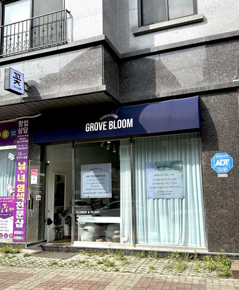 그로브블룸 이미지