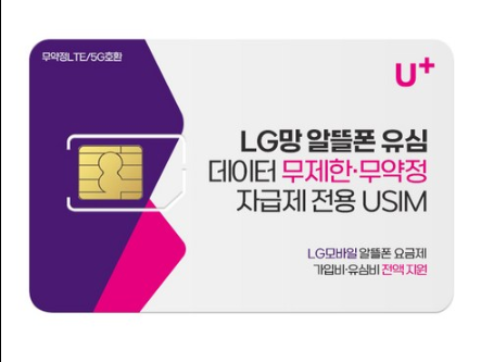 인터넷 성지 이미지
