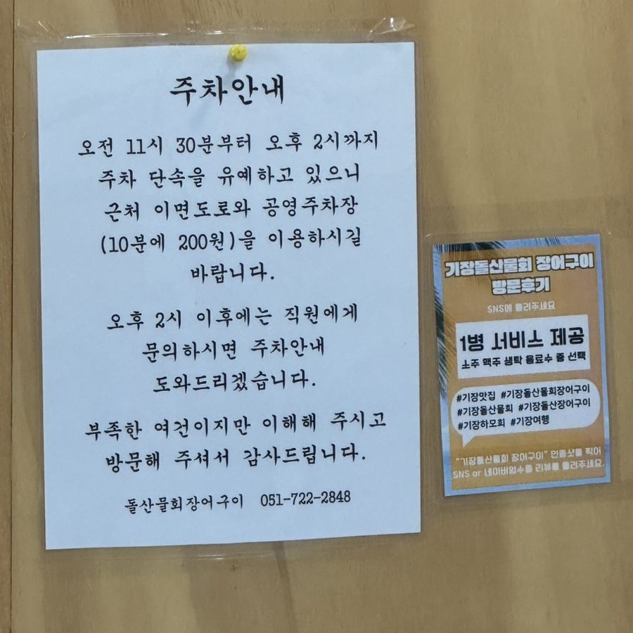 돌산아나고 이미지