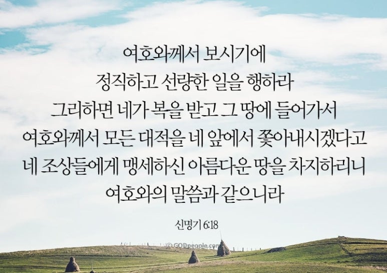 쁄라 이미지