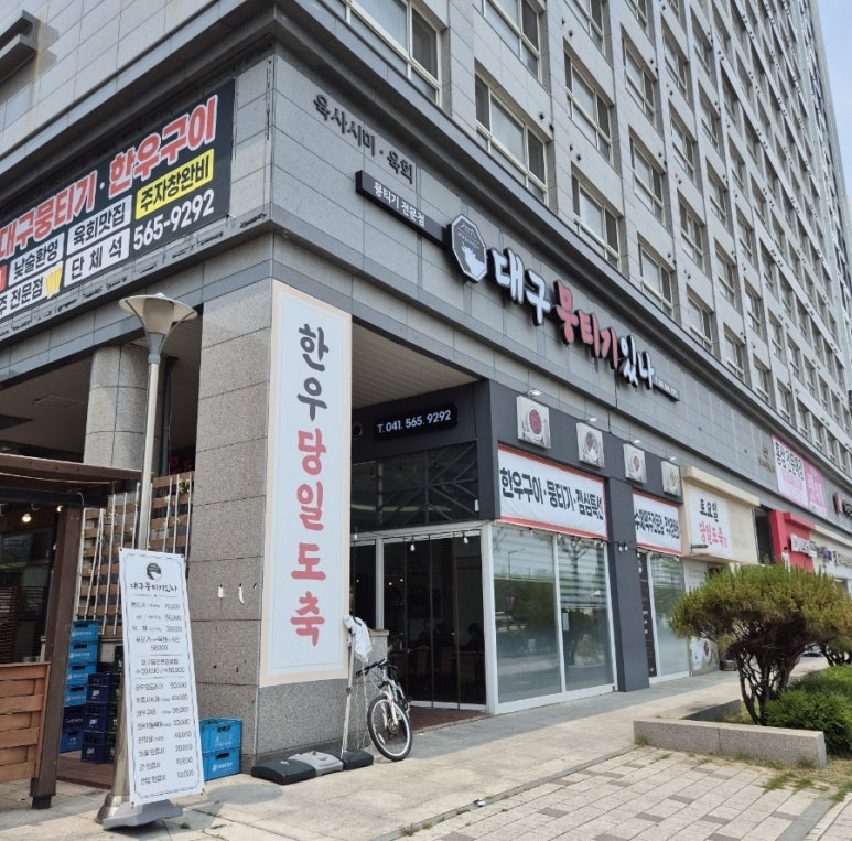 대구뭉티기있나 이미지
