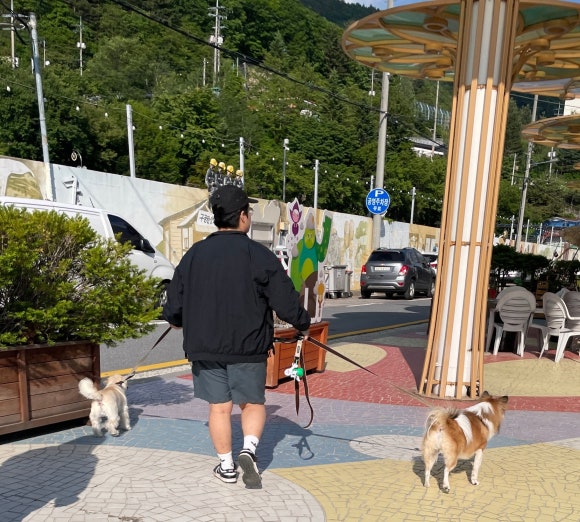 위드어스협동조합 이미지
