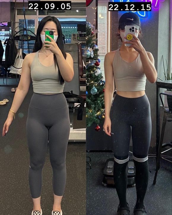 다보노 이미지