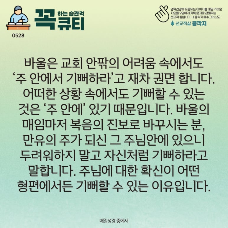 콩깍지 이미지