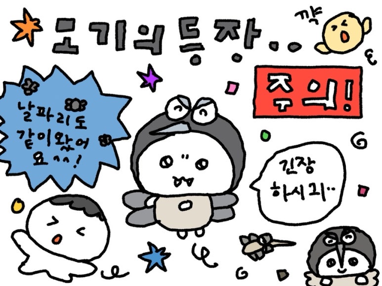 포케하우스 이미지