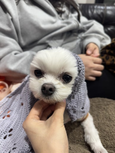 띵동 이미지