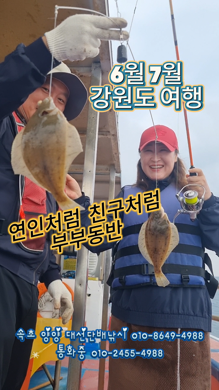다잡아낚시 이미지