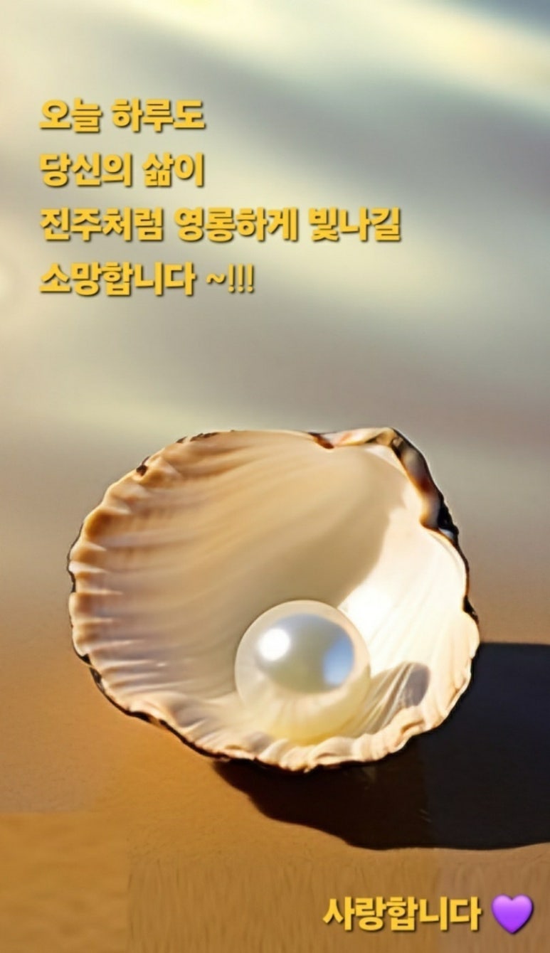 수지상사 이미지