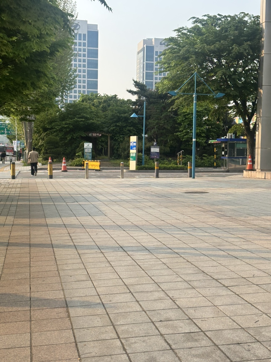 엘림플라워 이미지