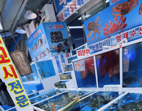 형제농수산 이미지