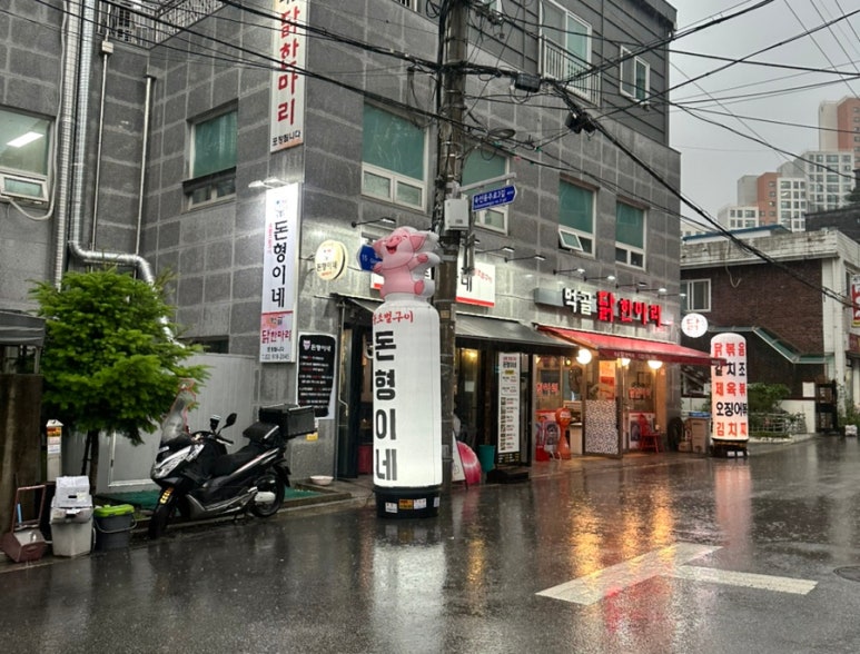 돈형 이미지